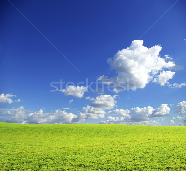 Domaine ciel bleu ciel herbe nature vent [[stock_photo]] © Pakhnyushchyy