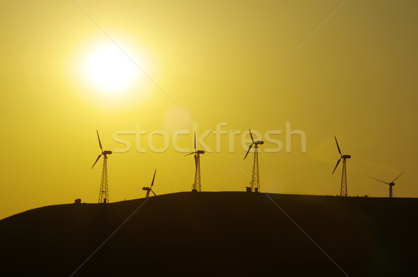 Wind farm  Stock photo © Pakhnyushchyy