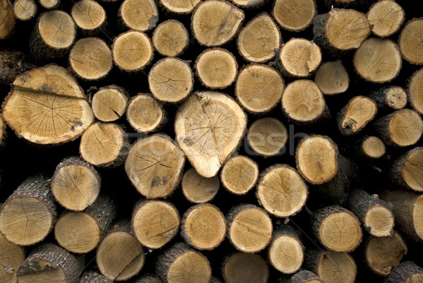 Cherestea gata textură lemn construcţie Imagine de stoc © Pakhnyushchyy