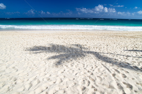 tropical sea Stock photo © Pakhnyushchyy