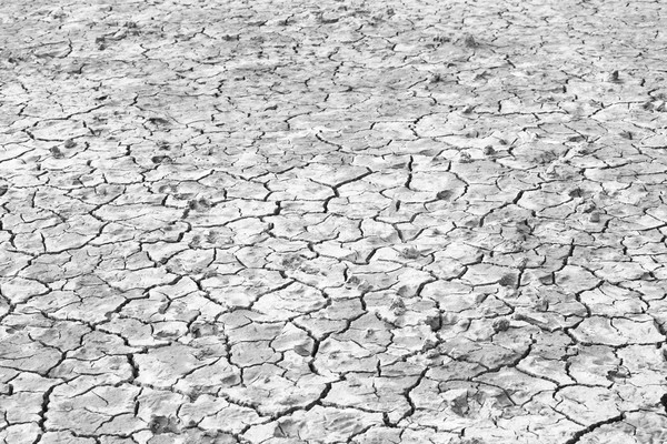 dry soil texture background Stock photo © Pakhnyushchyy