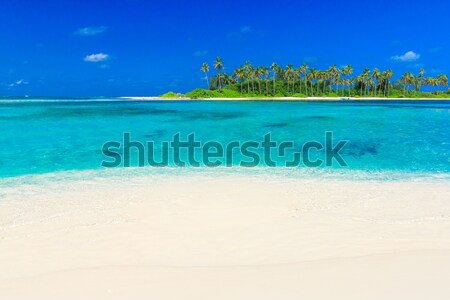 Сток-фото: тропический · пляж · пальмами · синий · пляж · природы