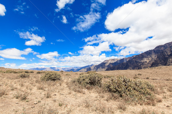 landscape Peru Stock photo © Pakhnyushchyy