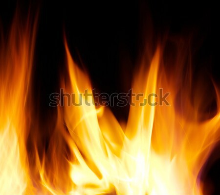 fire Stock photo © Pakhnyushchyy