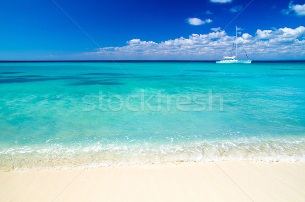 tropical sea Stock photo © Pakhnyushchyy