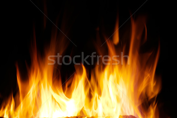 fire Stock photo © Pakhnyushchyy