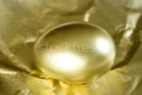 金の卵 孤立した ビジネス お金 金融 ストックフォト © Pakhnyushchyy