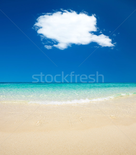 Zee Blauw blauwe hemel strand hemel achtergrond Stockfoto © Pakhnyushchyy