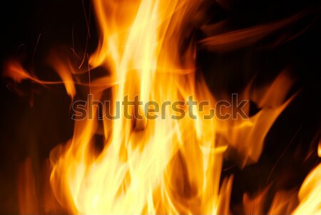  fire  Stock photo © Pakhnyushchyy