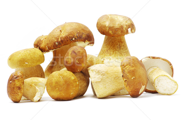  mushrooms  Stock photo © Pakhnyushchyy