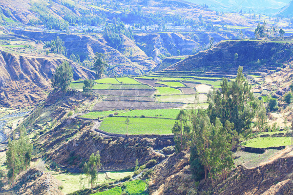 landscape in Andes. Peru. Stock photo © Pakhnyushchyy