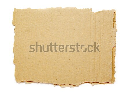  piece of cardboard  Stock photo © Pakhnyushchyy