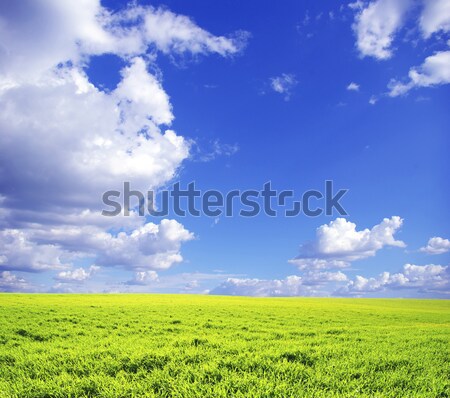 области Blue Sky весны трава природы газона Сток-фото © Pakhnyushchyy