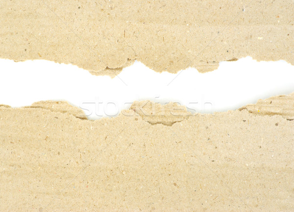 Cartone pezzi isolato bianco acqua carta Foto d'archivio © Pakhnyushchyy