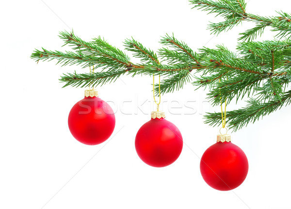 Weihnachten Kugeln isoliert weiß Baum Natur Stock foto © Pakhnyushchyy