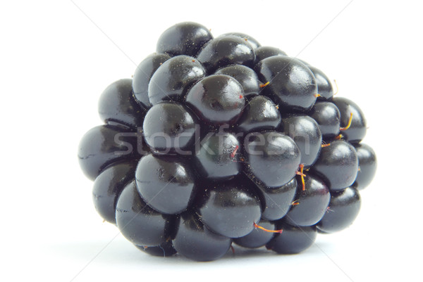 blackberry  Stock photo © Pakhnyushchyy