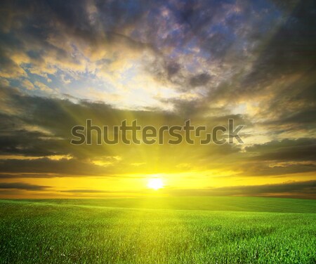 Stock foto: Bereich · Sonnenuntergang · Landwirtschaft · grünen · Himmel · Landschaft