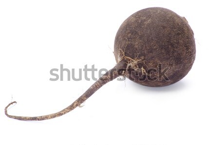 Stock photo: black radish