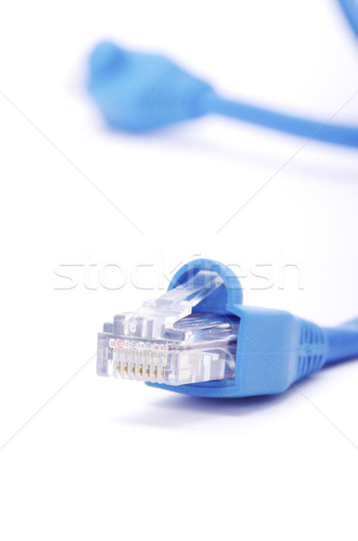 Verbindung Plug Makro erschossen Netzwerk Business Stock foto © Pakhnyushchyy