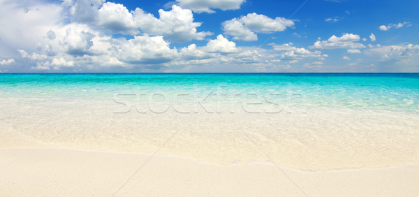 Meer schönen Strand tropischen Wasser Hintergrund Stock foto © Pakhnyushchyy