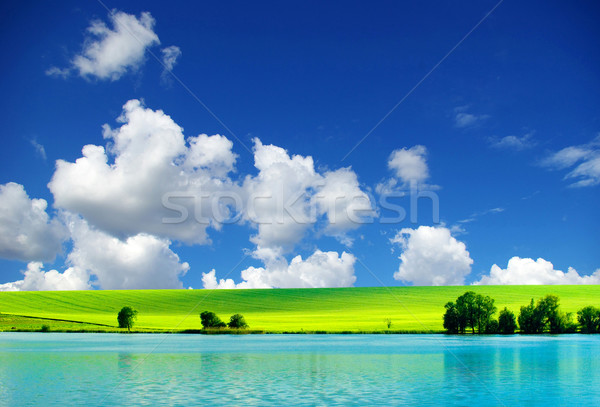 Nori câmp Blue Sky primăvară iarbă vară Imagine de stoc © Pakhnyushchyy