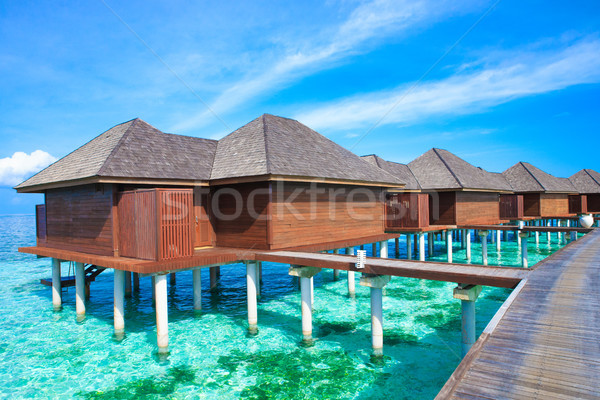 Tengerpart trópusi tengerpart kevés pálmafák kék égbolt Stock fotó © Pakhnyushchyy
