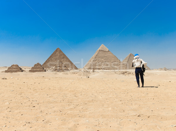 Zdjęcia stock: Piramidy · piękna · niebo · giza · wielbłąda · piramidy