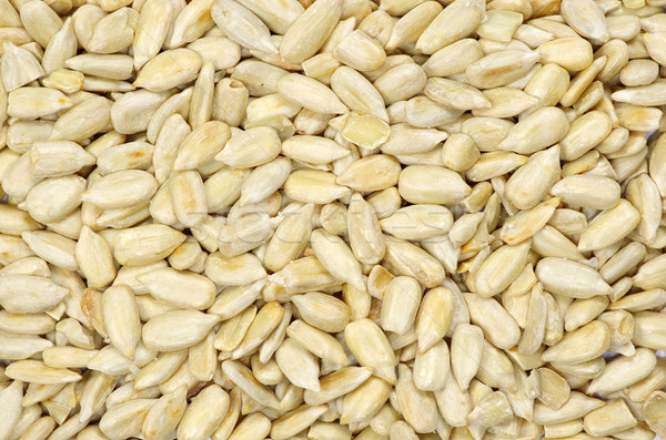 roasted  seeds  Stock photo © Pakhnyushchyy