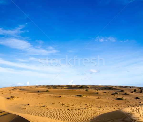 Desierto paisaje cielo azul naturaleza belleza arena Foto stock © Pakhnyushchyy