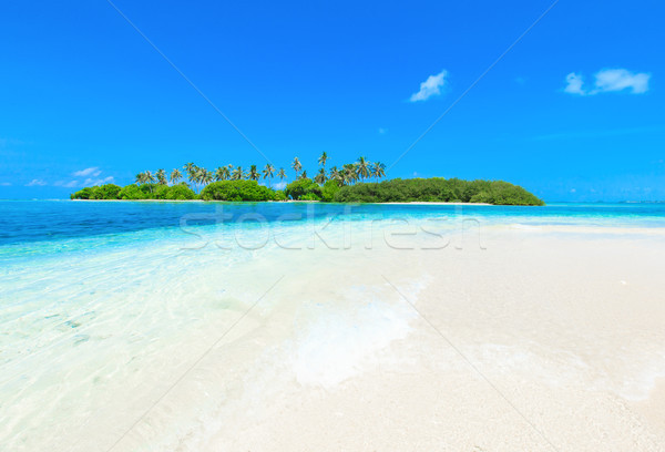 Belle plage eau nature paysage mer [[stock_photo]] © Pakhnyushchyy