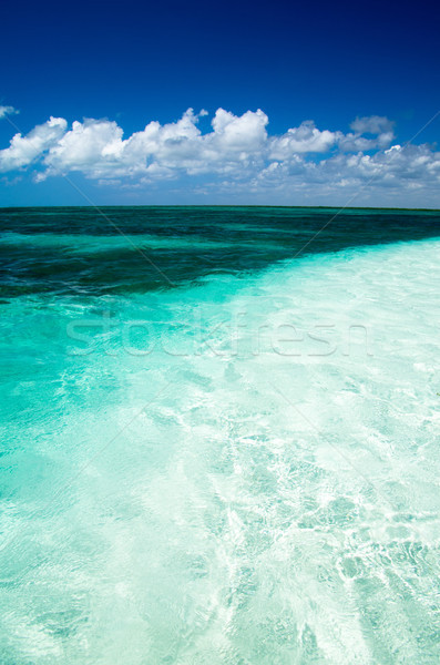 tropical sea Stock photo © Pakhnyushchyy
