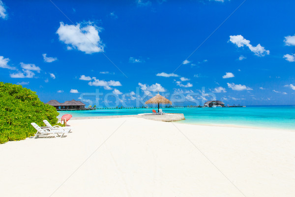 морем белый тропический пляж пальмами синий Сток-фото © Pakhnyushchyy