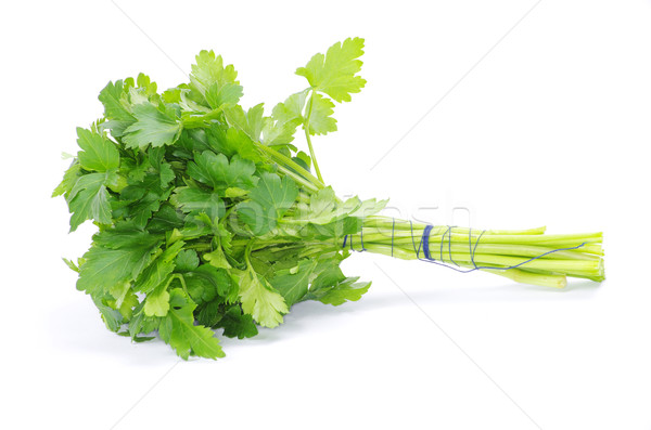 Pietruszka świeże zielone odizolowany biały Zdjęcia stock © Pakhnyushchyy
