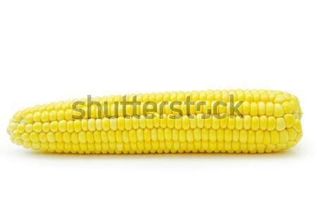  maize  Stock photo © Pakhnyushchyy