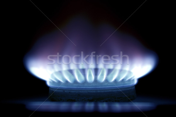 flames of gas Stock photo © Pakhnyushchyy