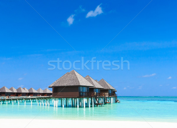 Plage plage tropicale palmiers bleu ciel [[stock_photo]] © Pakhnyushchyy