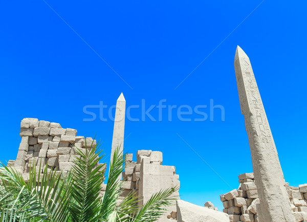 Ancient ruins of Karnak temple in Egypt Stock photo © Pakhnyushchyy