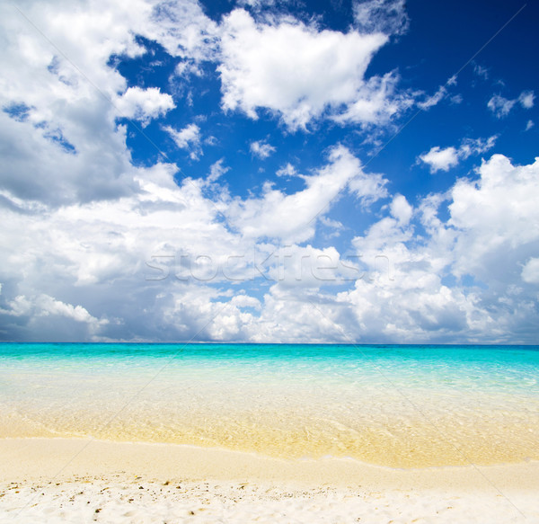 Meer schönen Strand tropischen Wasser Hintergrund Stock foto © Pakhnyushchyy