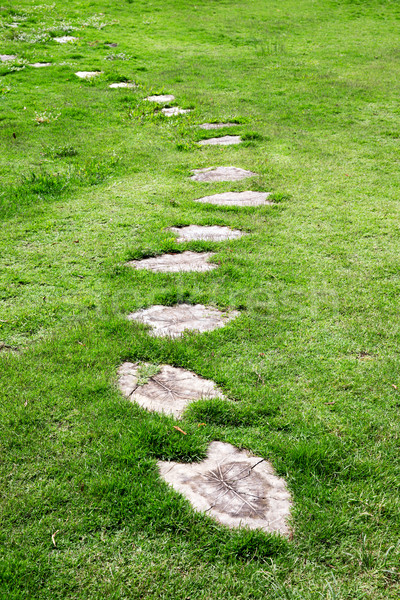 Garden stone path  Stock photo © Pakhnyushchyy