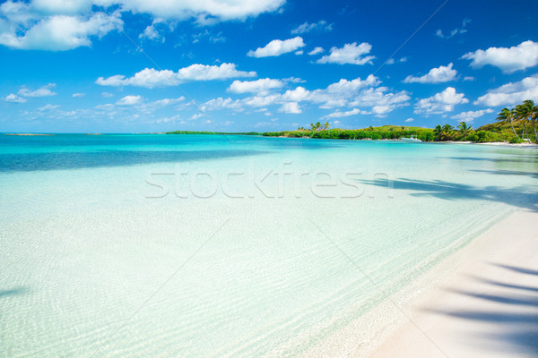 Plage tropicale pyramide ville pierre architecture [[stock_photo]] © Pakhnyushchyy