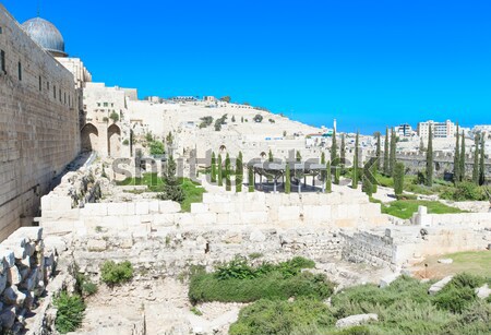 Anciens ruines centre arbre mur paysage [[stock_photo]] © Pakhnyushchyy