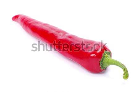 chili pepper  Stock photo © Pakhnyushchyy