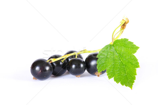 Stock photo: black currant