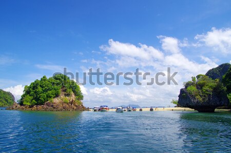 Kövek tenger Krabi fa fű természet Stock fotó © Pakhnyushchyy