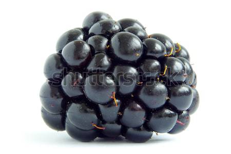 blackberry Stock photo © Pakhnyushchyy