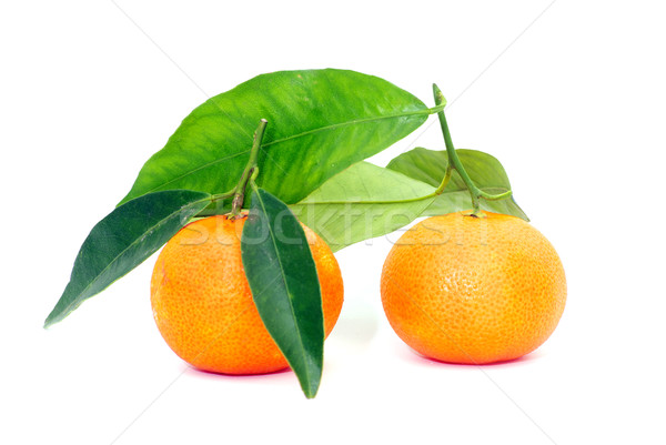 Mandarijn geïsoleerd witte vruchten oranje leven Stockfoto © Pakhnyushchyy