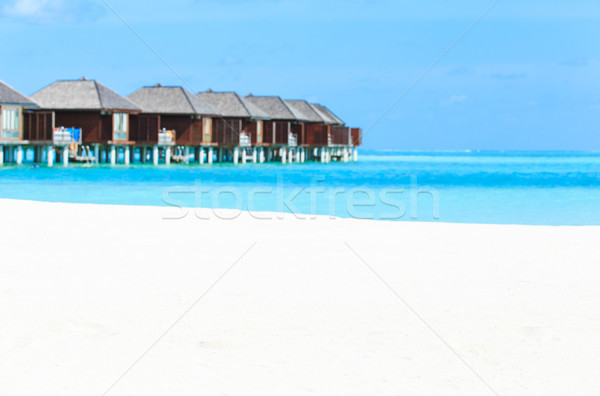 Praia praia tropical poucos palmeiras azul céu Foto stock © Pakhnyushchyy