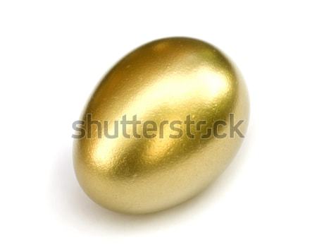 金の卵 孤立した 白 ビジネス お金 金融 ストックフォト © Pakhnyushchyy