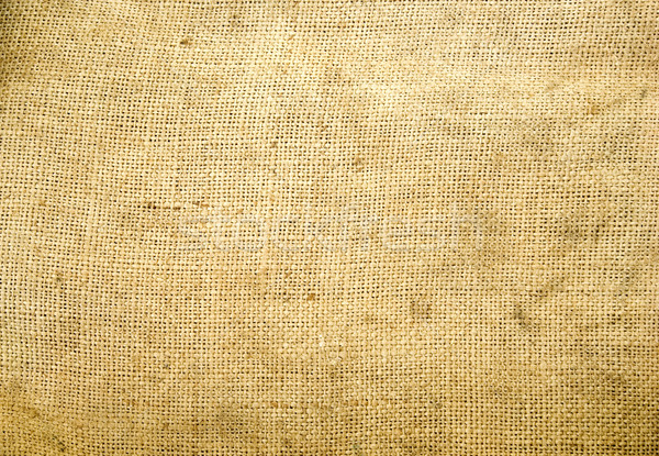 texture of the canvas Stock photo © Pakhnyushchyy