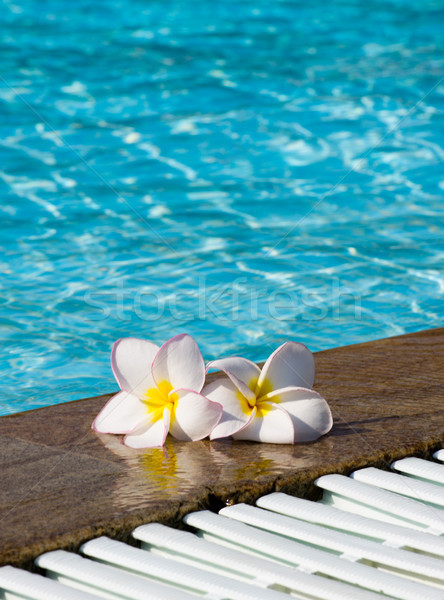 Floare floare tropicala piscină natură spaţiu piscină Imagine de stoc © Pakhnyushchyy